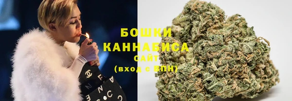 apvp Надым