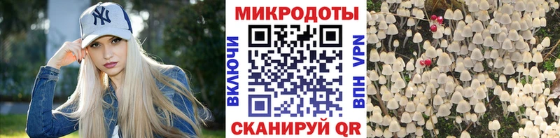 где купить наркоту  Пионерский  Псилоцибиновые грибы MAGIC MUSHROOMS 