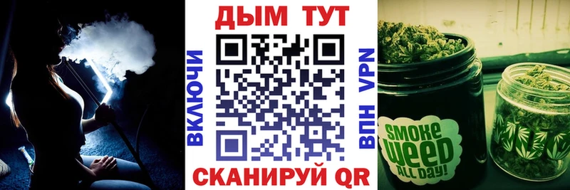 Конопля гибрид  Пионерский 